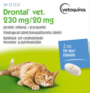 Drontal vet. matolääke kissoille